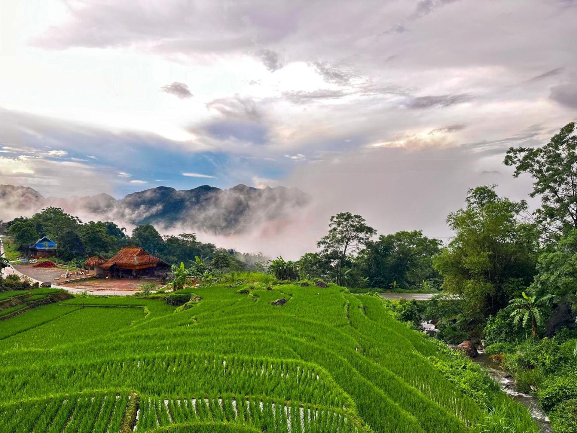 Pu Luong Jungle Lodge Eksteriør bilde