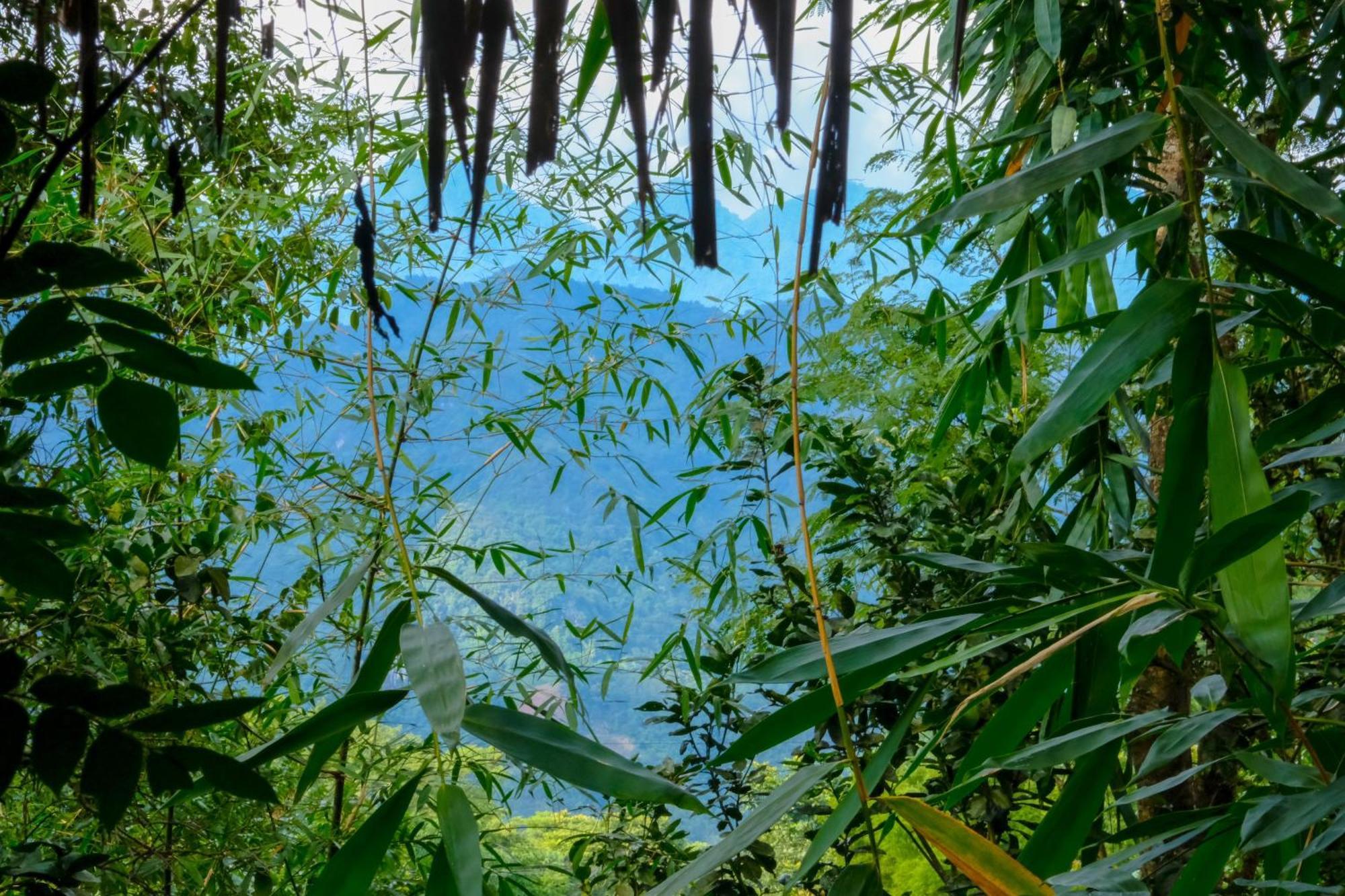 Pu Luong Jungle Lodge Eksteriør bilde